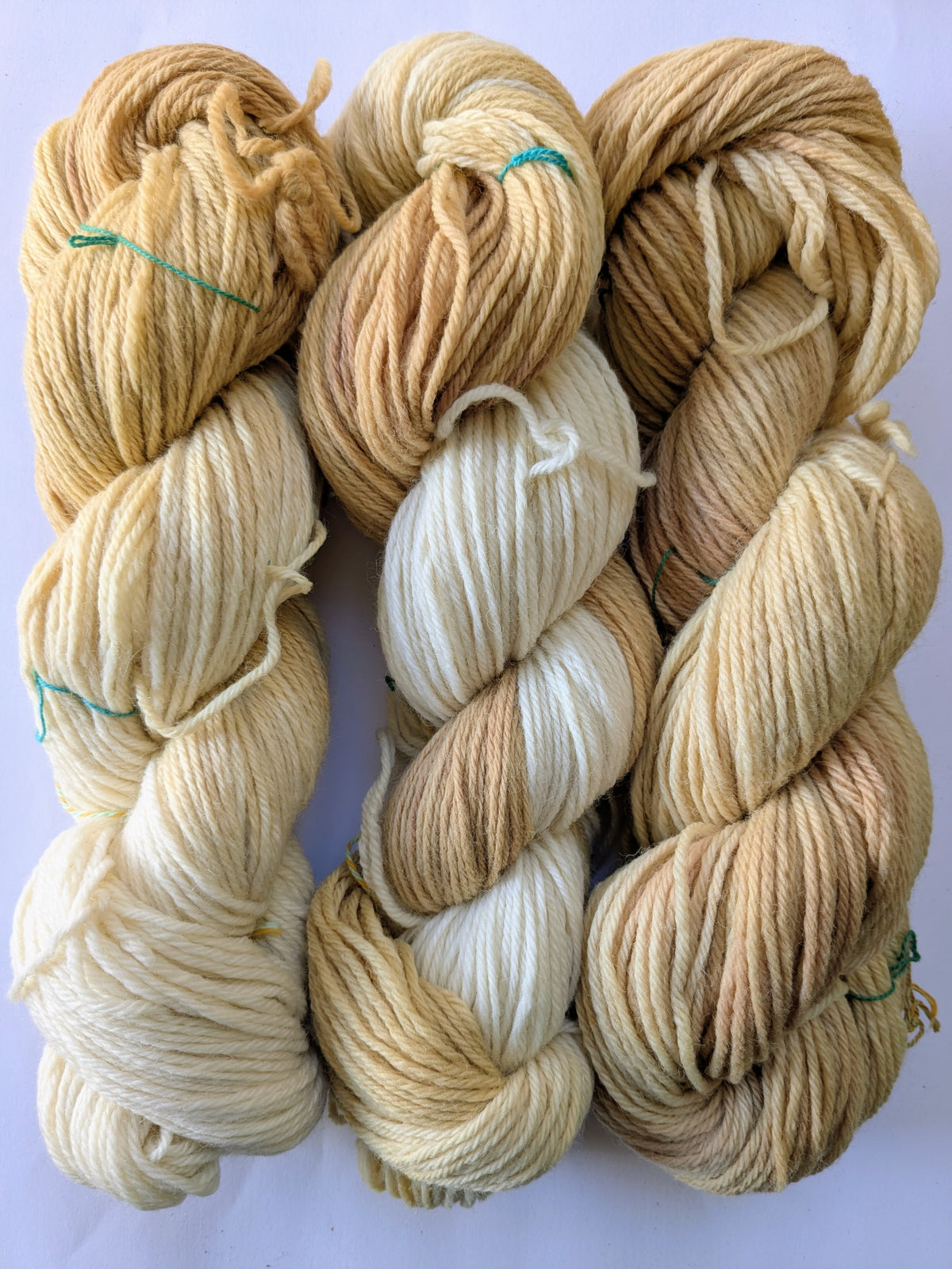 yarn: naturally dyed with black walnuts, coreopsis flowers & madder root
