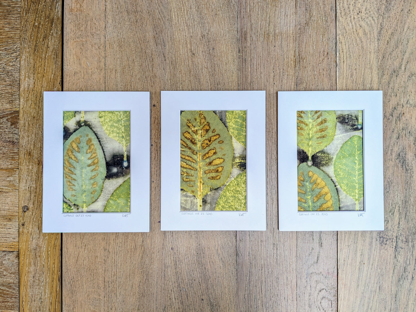 cotinus smoke bush eco-print 3/10