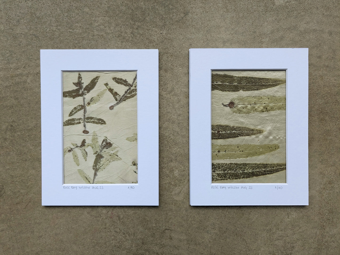 rose bay willow eco-print 2/10