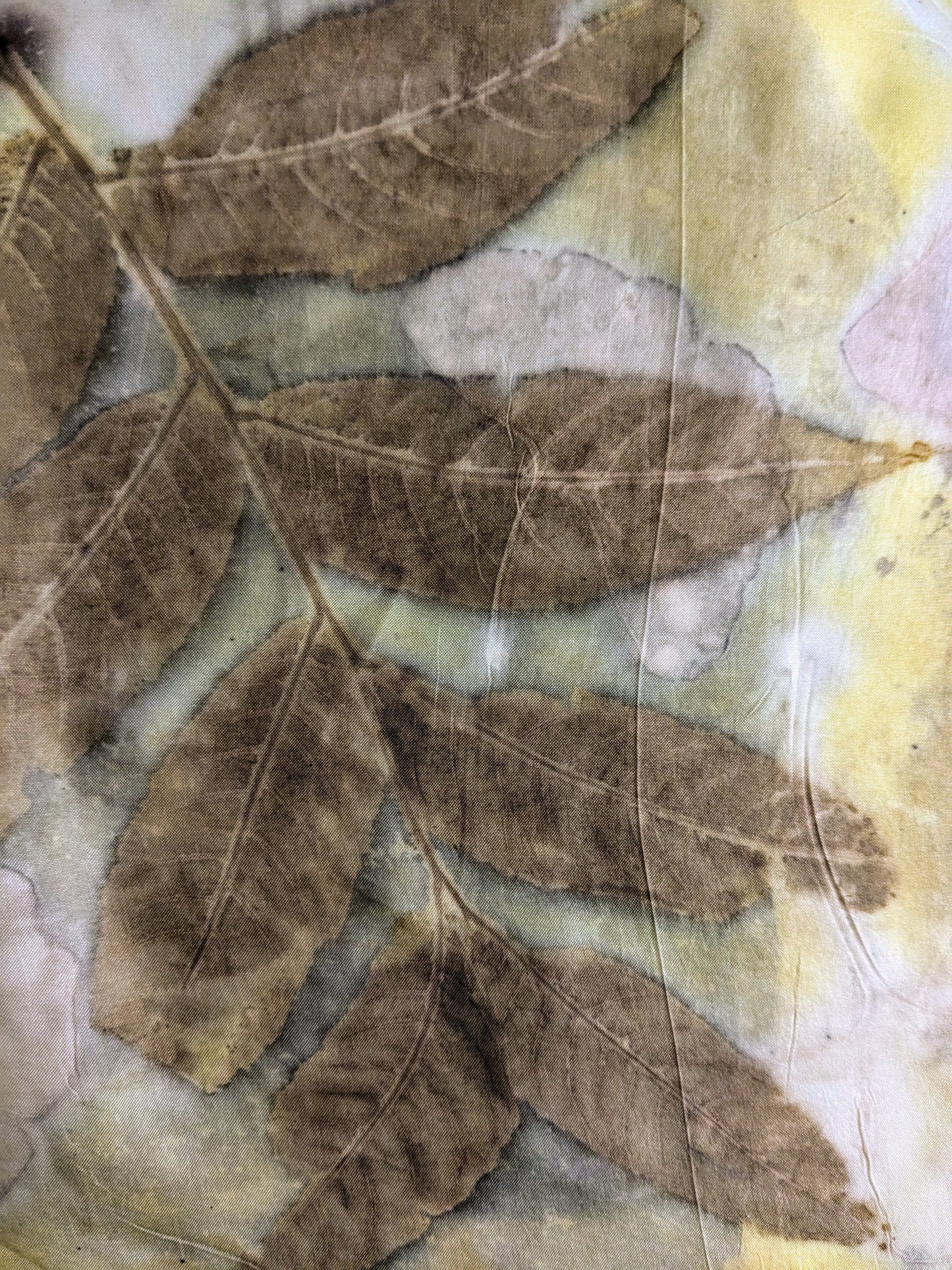 all the leaves: eco-printed silk scarf