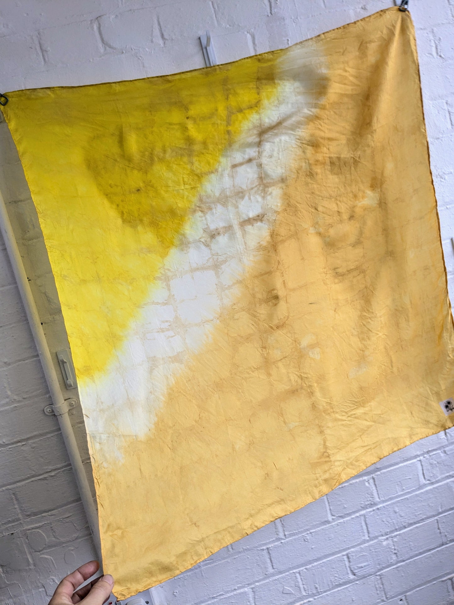 weld, cosmos & oak gall naturally dyed silk scarf