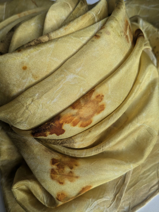 coreposis flower, cotinus smokebush & weld eco-printed silk scarf