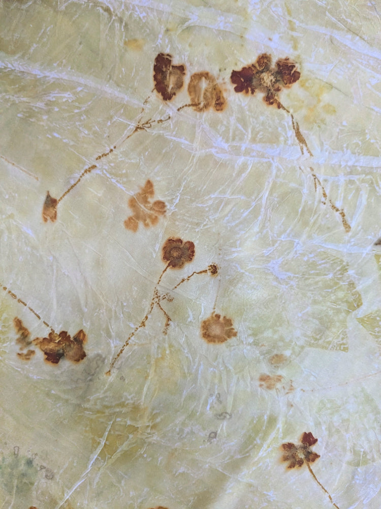 coreposis flower, cotinus smokebush & weld eco-printed silk scarf