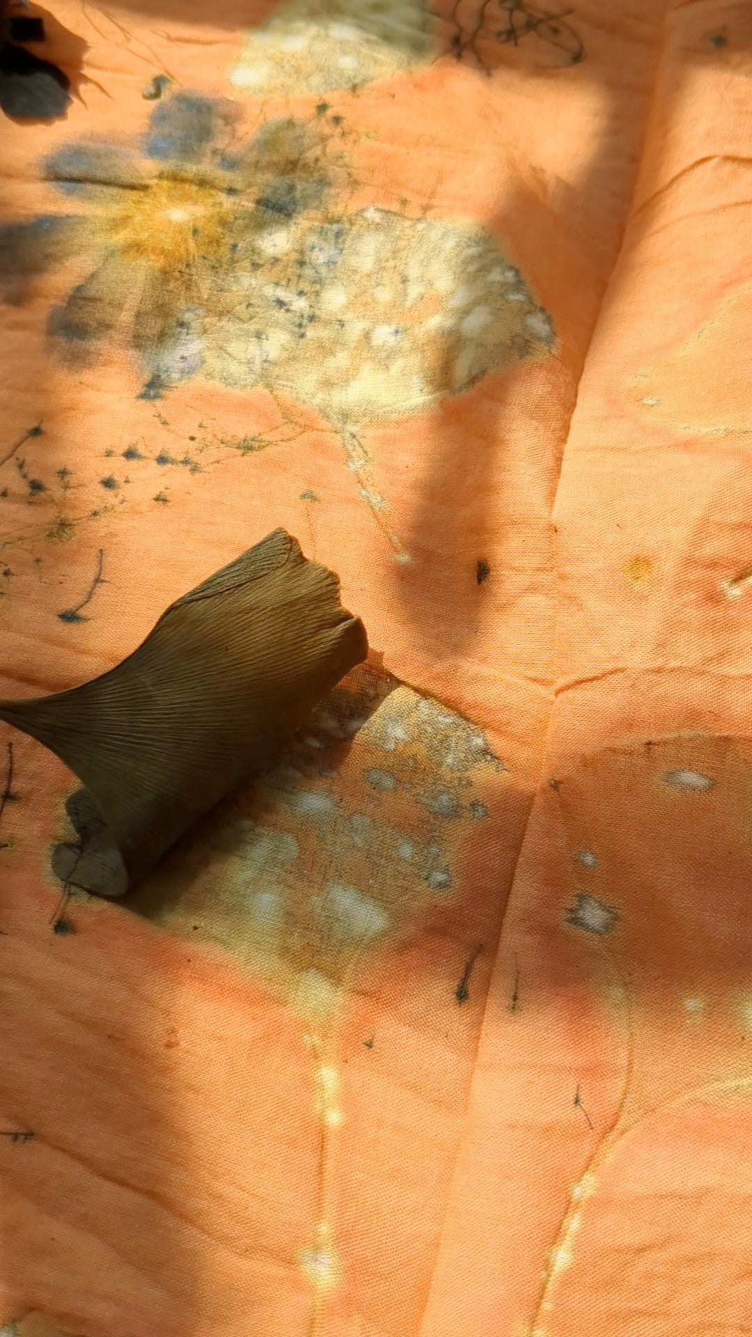 workshop - eco-printing & natural dyeing, saturday june 28th