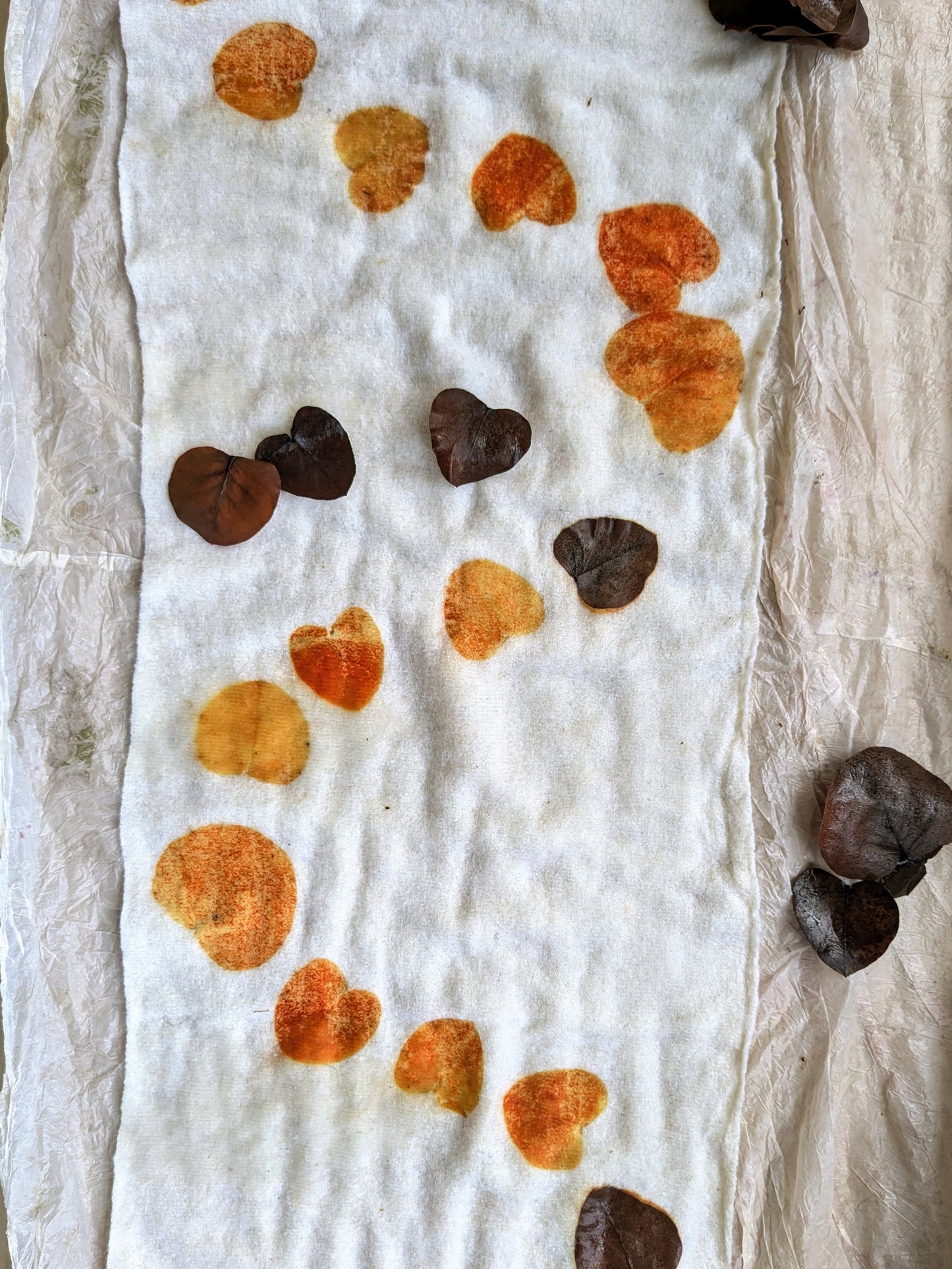 workshop - eco-printing & natural dyeing, saturday june 28th