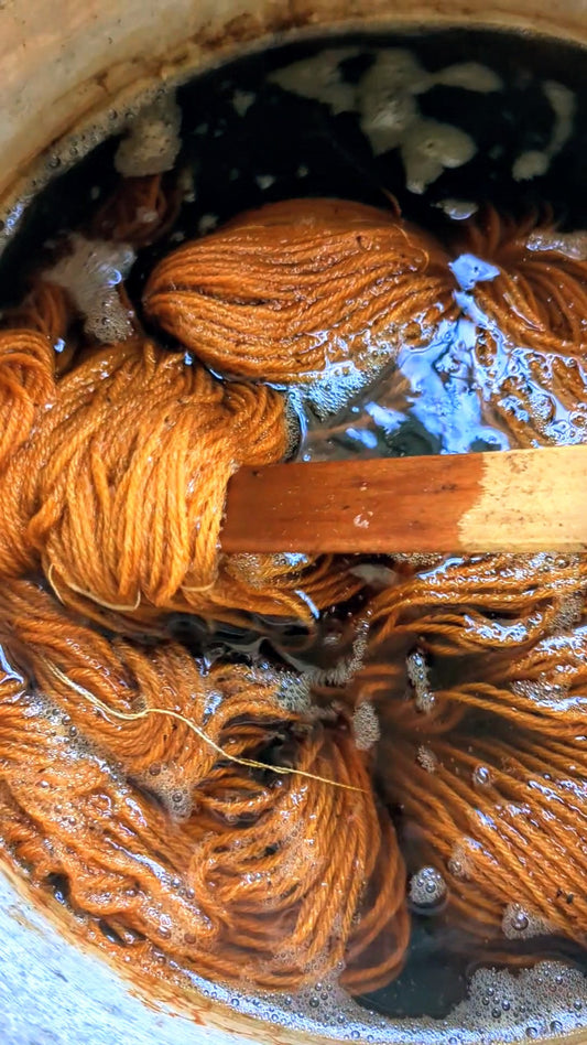workshop - eco-printing & natural dyeing, saturday june 28th