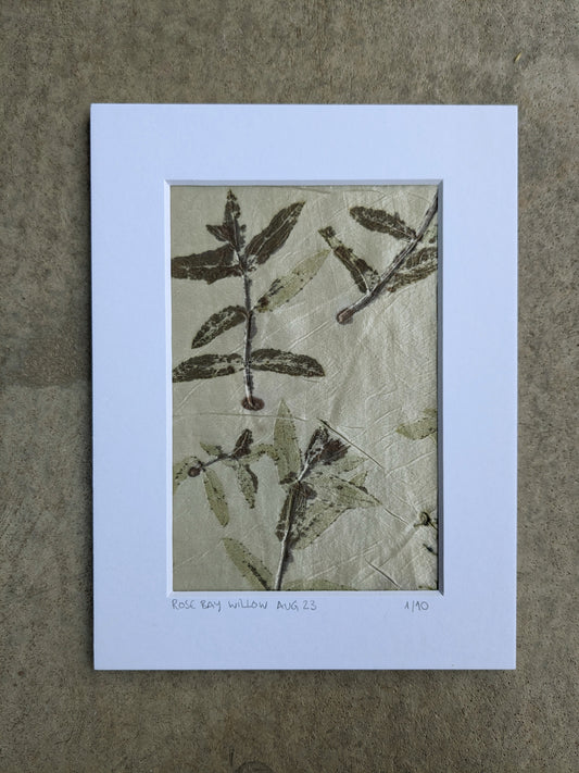 rose bay willow eco-print 1/10